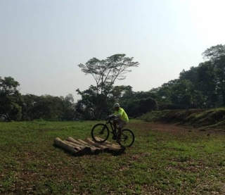 Rodando por las tablas